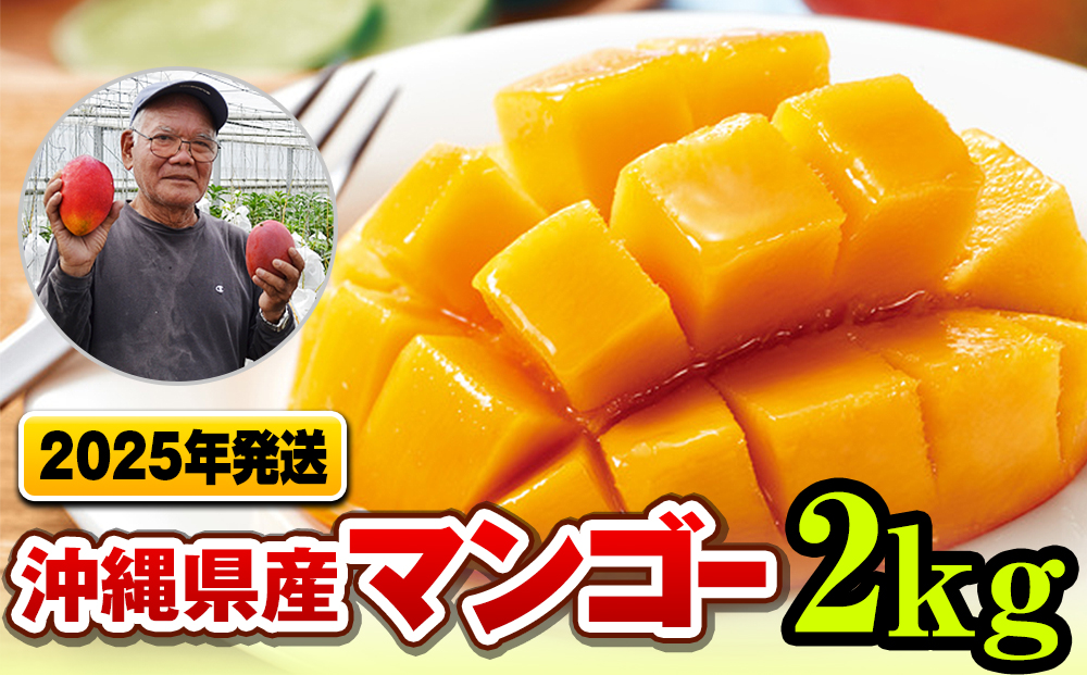 【2025年発送】濃厚な甘さ！とろける食感！沖縄県産マンゴー2kg