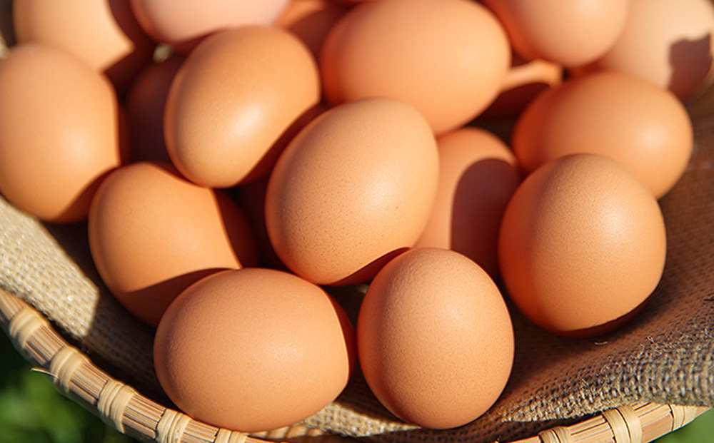 美ら卵養鶏場の新鮮で濃厚な卵【120個入り】