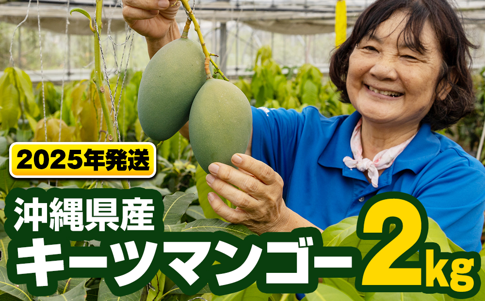 【2025年発送】沖縄県産キーツマンゴー2kg