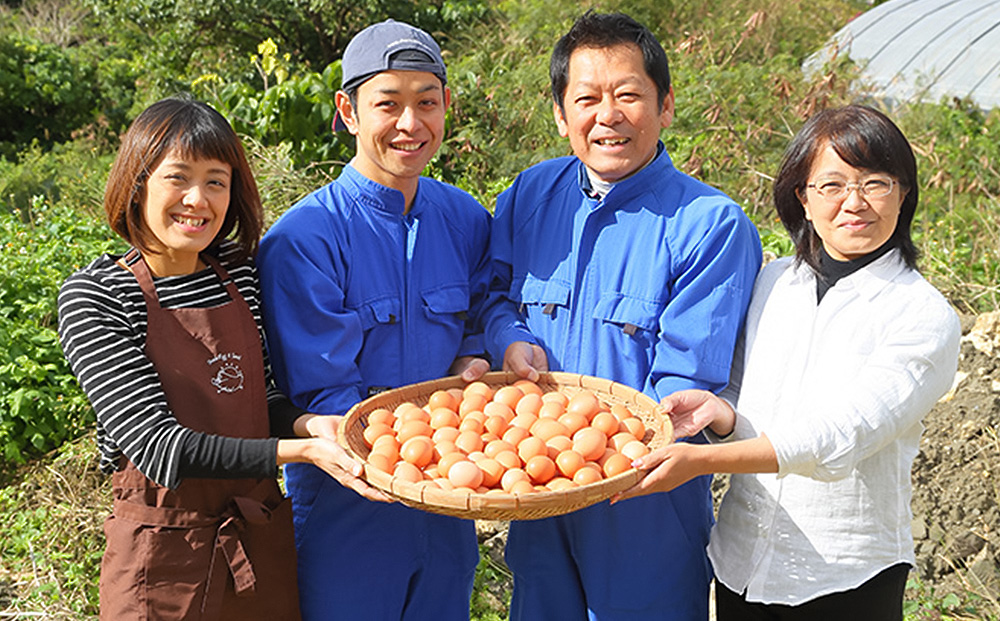 美ら卵養鶏場　卵にこだわった「台湾カステラ」3台入り