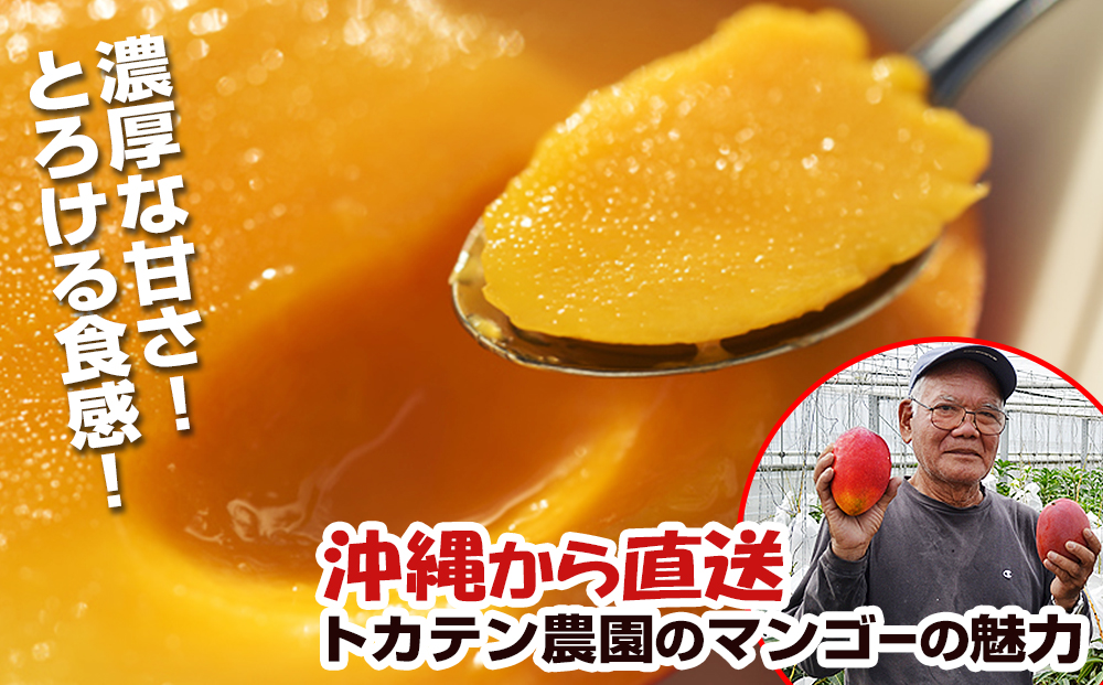 【2024年発送】濃厚な甘さの沖縄県産マンゴー2kg（家庭用）