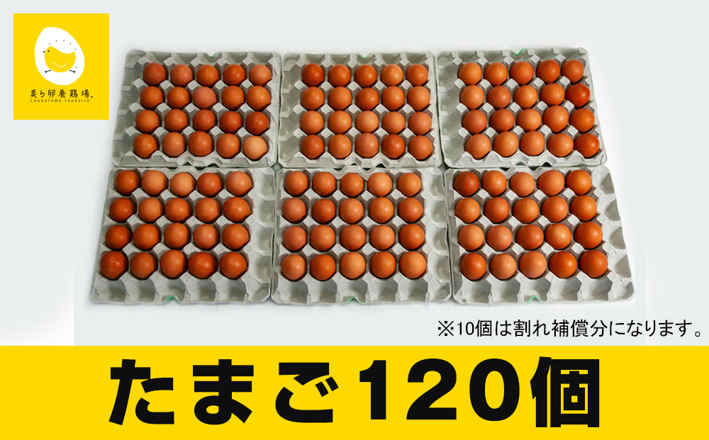 市場 ふるさと納税 B-10 うねめもみじたまごとマヨネーズ：岡山県笠岡市