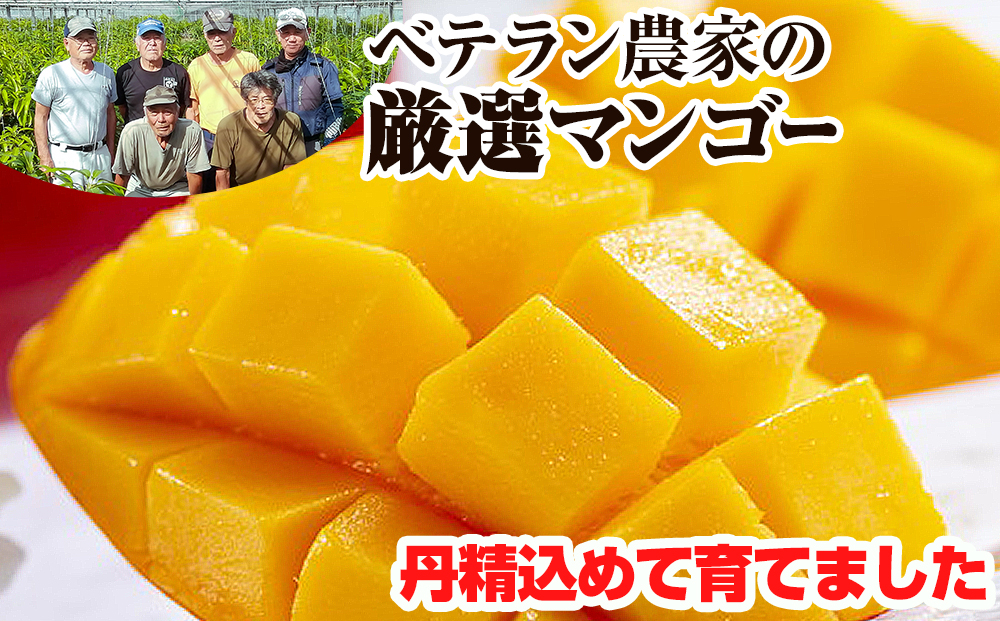 【2025年発送】生産組合が育てる南風原の味　神里マンゴー2kg