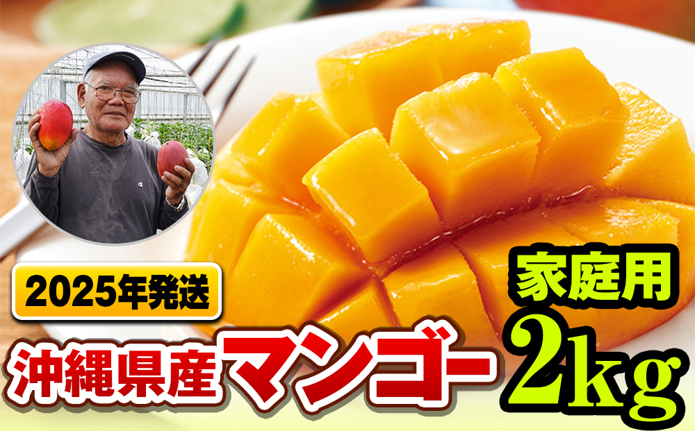 【2025年発送】濃厚な甘さの沖縄県産マンゴー2kg（家庭用）