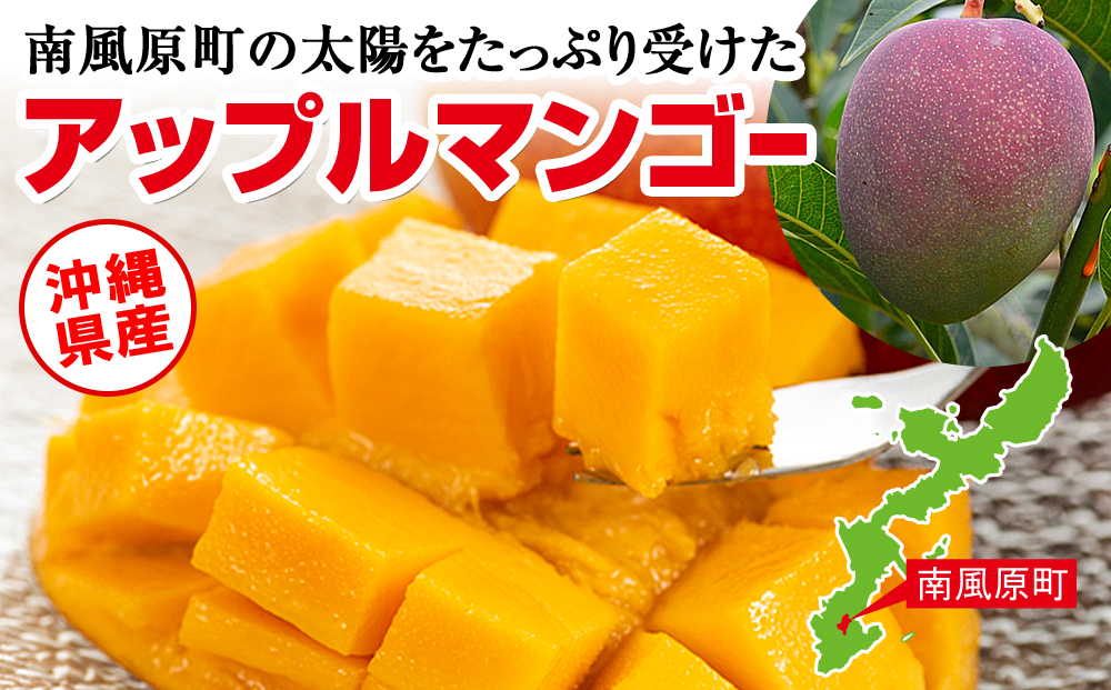 【2024年発送】濃厚な甘さ！とろける食感！沖縄県産マンゴー2kg