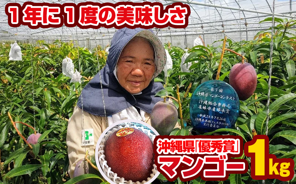 【2025年発送】芳醇な香り　とろける食感　沖縄県「優秀賞」マンゴー1kg