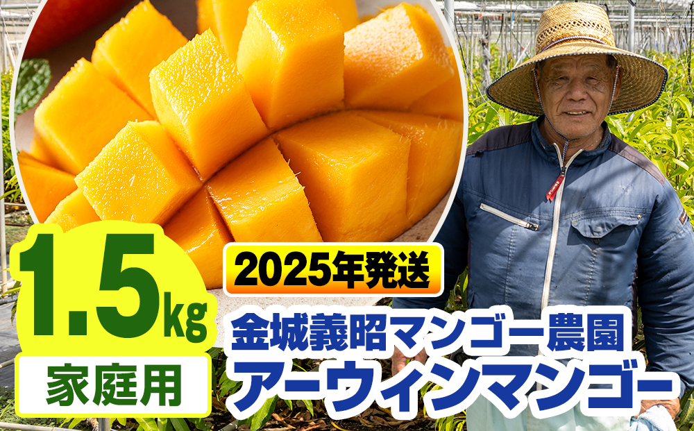 【2025年発送】金城義昭マンゴー農園　アーウィンマンゴー家庭用1.5kg