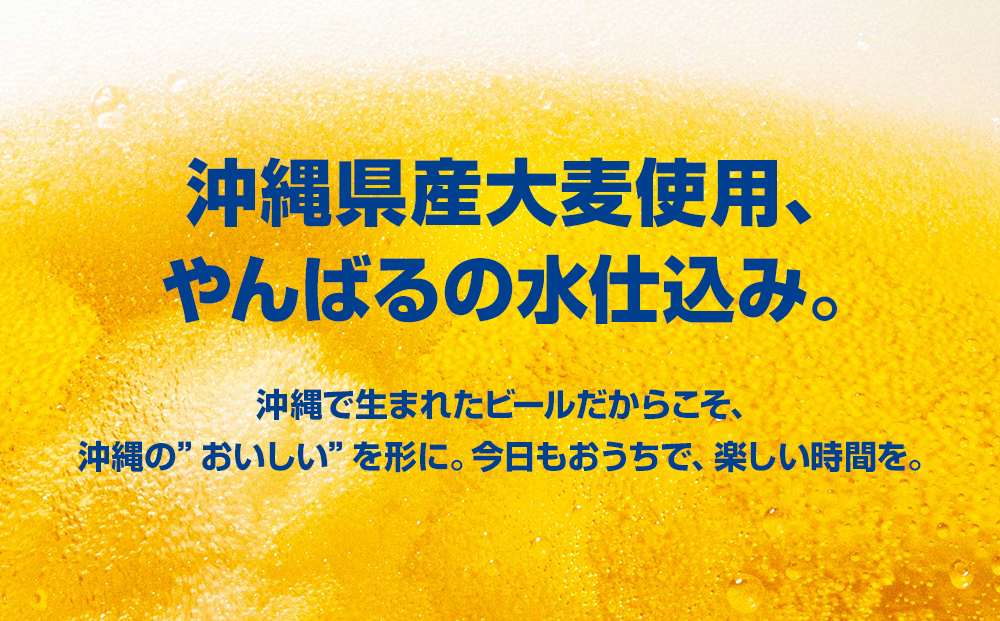 オリオンビール　ザ・ドラフト（350ml×24缶）　3ヶ月連続お届け