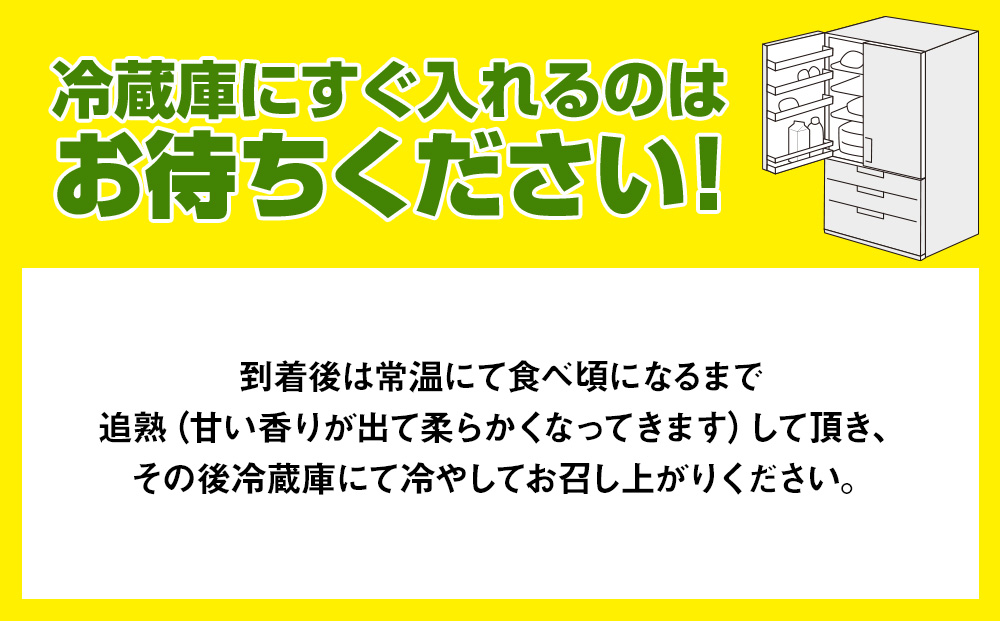 【2025年発送】南国の果物　沖縄県産マンゴー　赤キンコー　1kg