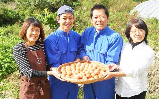 美ら卵養鶏場のぴよぴよシフォン