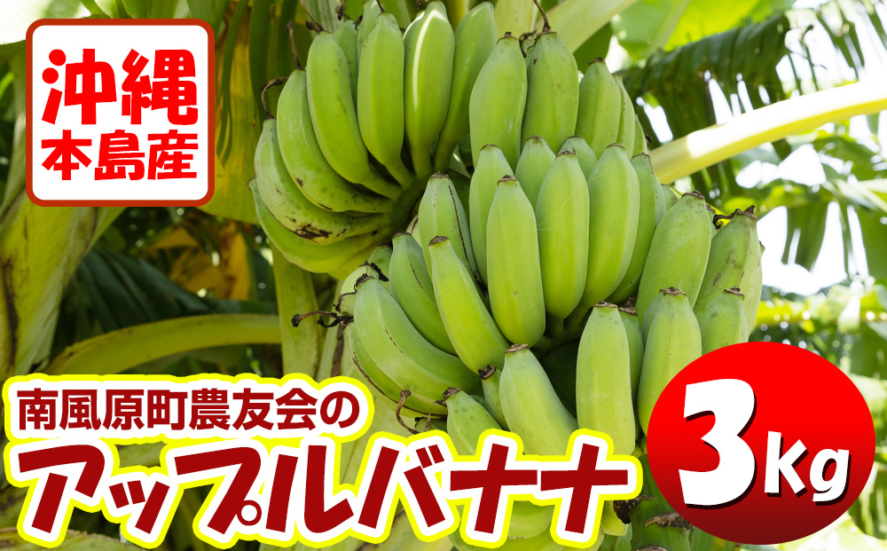 最大58％オフ！ 初セット 沖縄本島産 フルーツグァバ と アップルバナナ セット