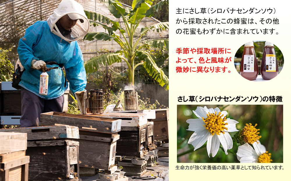 純粋蜂蜜　沖縄産　さし草蜂蜜　秋採り　500g　南風原町採取