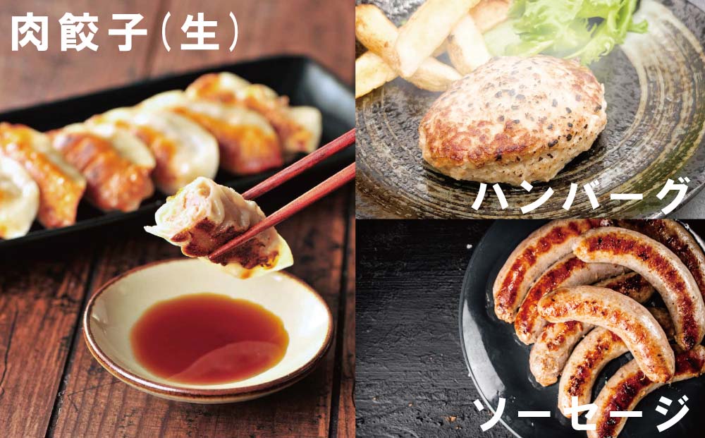 沖縄県産　金アグー　こだわり3種セット　ハンバーグ・ソーセージ・餃子