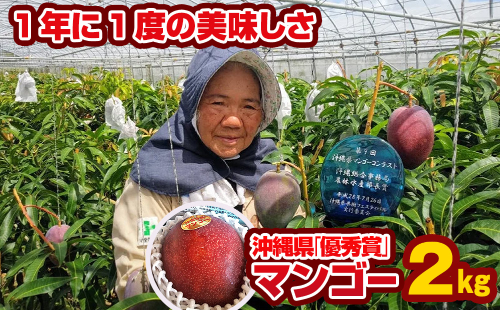 【2025年発送】芳醇な香り　とろける食感　沖縄県「優秀賞」マンゴー2kg