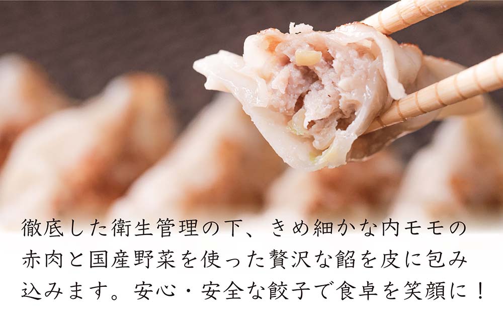 沖縄県産　金アグー　肉餃子　まんぷく　36個入り　12個×3パック