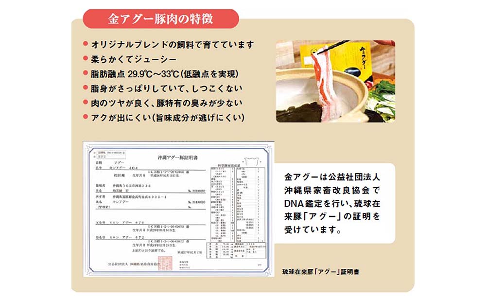 沖縄県産　金アグー　ステーキ・トンカツ・ハンバーグセット