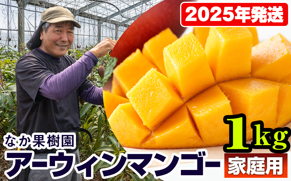 【2025年発送】なか果樹園　家庭用　アーウィンマンゴー1kg