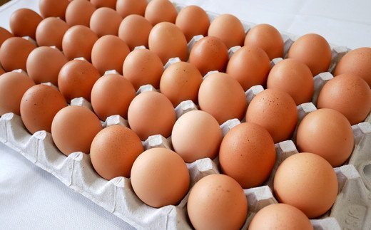 【定期便】6回お届け！美ら卵養鶏場の卵（各月80個）