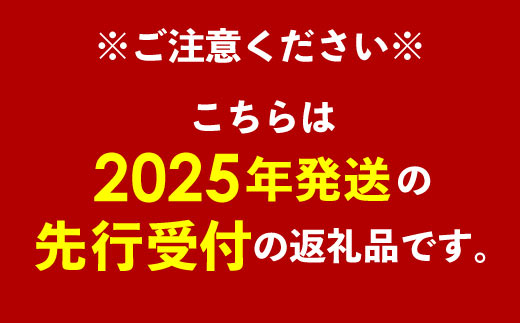 【化粧箱入】【先行受付・2025年発送】ママチチマンゴーファームの優品・化粧箱アップルマンゴー約2kg