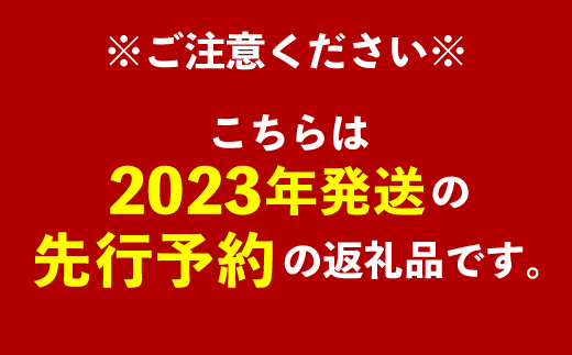 【先行予約】【2023年発送】神谷ファームのマンゴー（極）約1Kg
