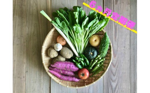 宮崎県産の新鮮野菜の8種盛セット！6ヵ月定期便
